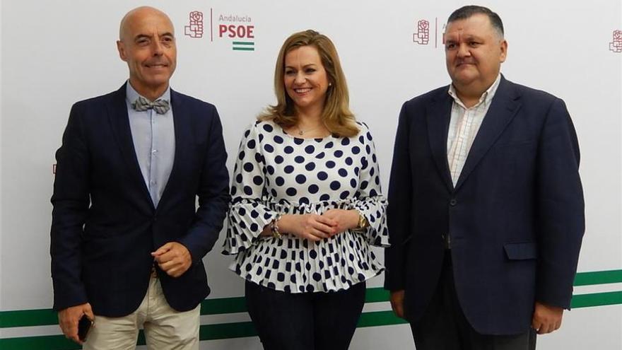 El PSOE presentará mociones en todos los ayuntamientos de la provincia contra los PGE