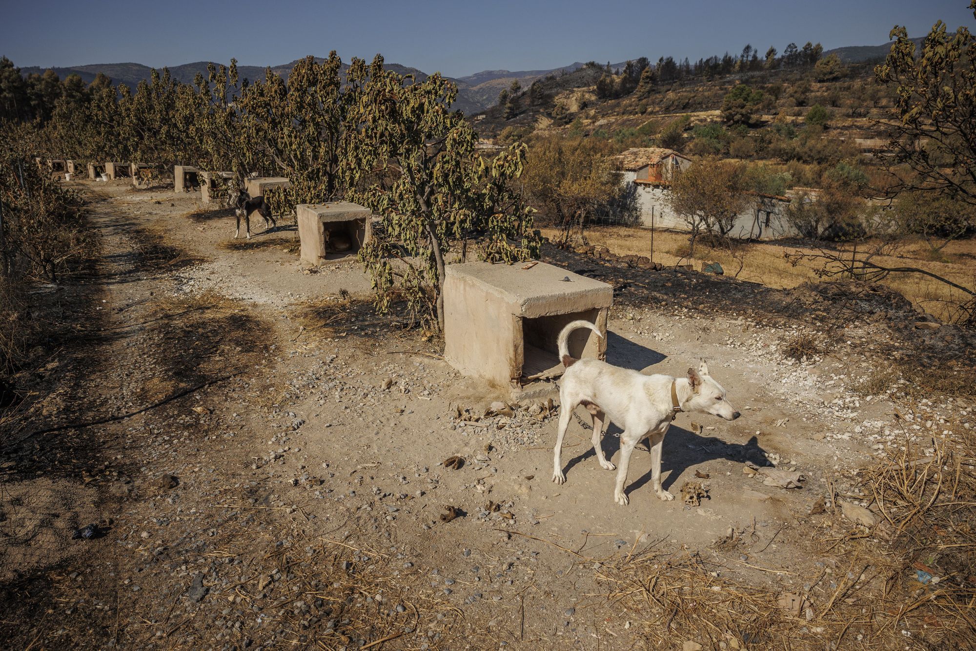 Los vecinos de Bejís vuelven a sus casas tras el paso de las llamas