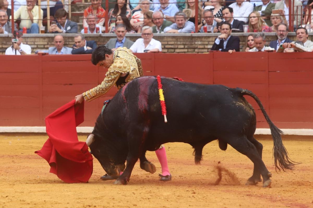 Última corrida de abono de la Feria Taurina de Córdoba, en imágenes Última corrida de abono de la Feria Taurina de Córdoba, en imágenes