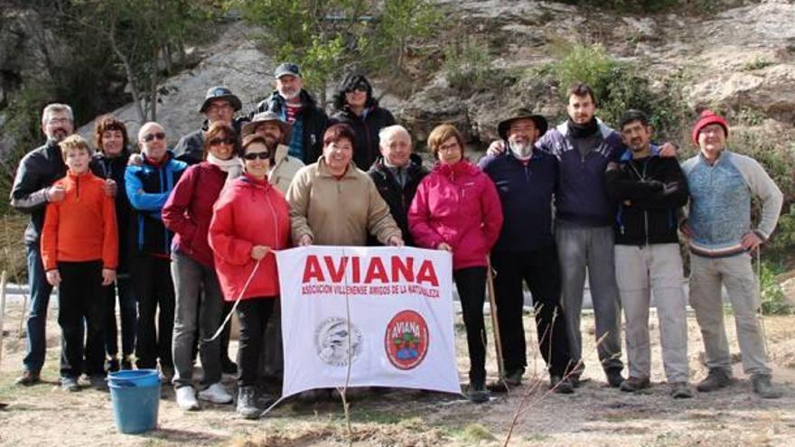 Nuevos árboles  en la pinada Las Virtudes de Villena