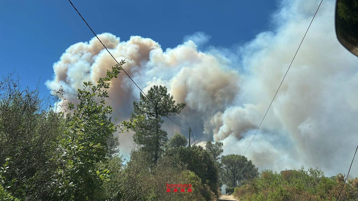 La Bisbal dEmpordà incendi forestal GI-660 a tocar les Gavarres Bombers