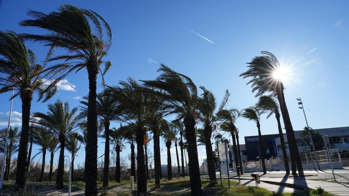 Imagen de viento en la playa del Pinar del Grau de Castelló.