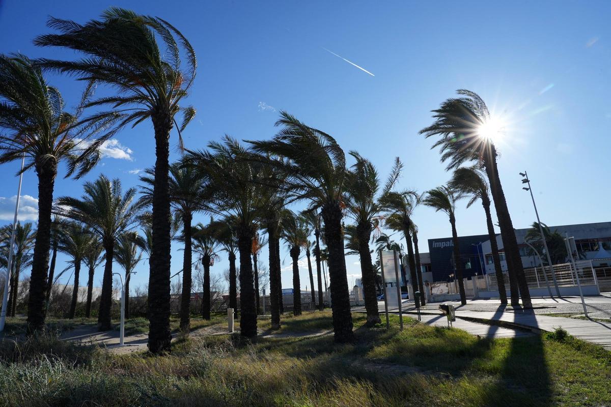 Imagen de viento en la playa del Pinar del Grau de Castelló.