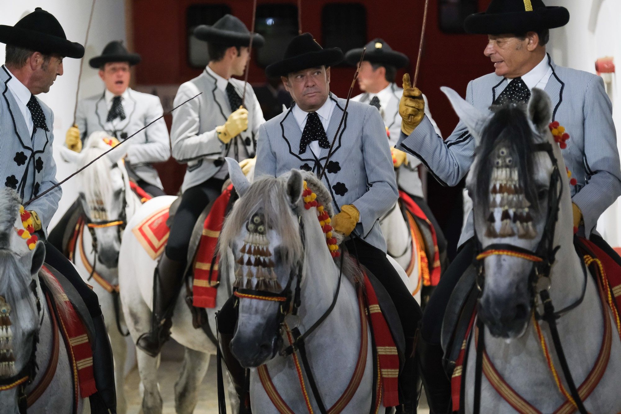 Los caballos andaluces bailan sobre el albero de La Malagueta