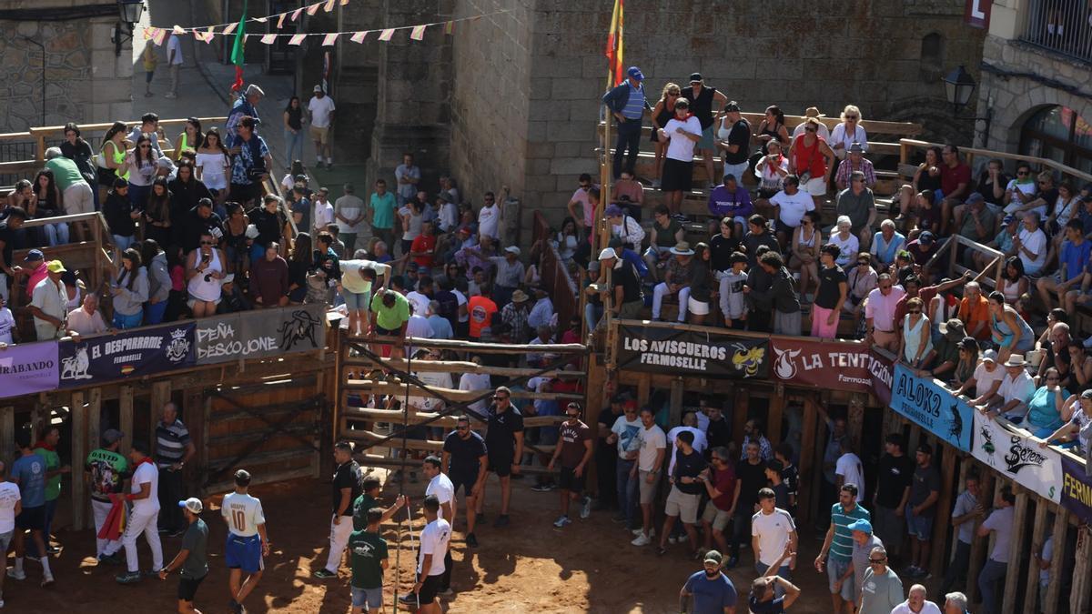 Encierro de Fermoselle en las fiestas de 2026