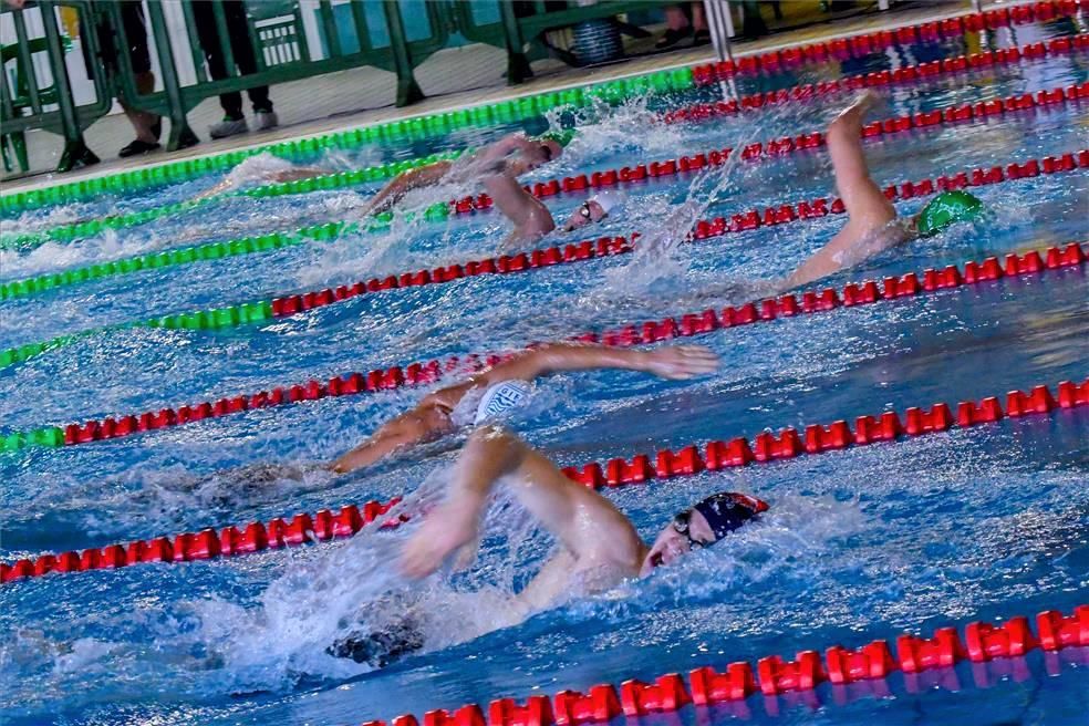 Trofeo Ciudad de Zaragoza de natación