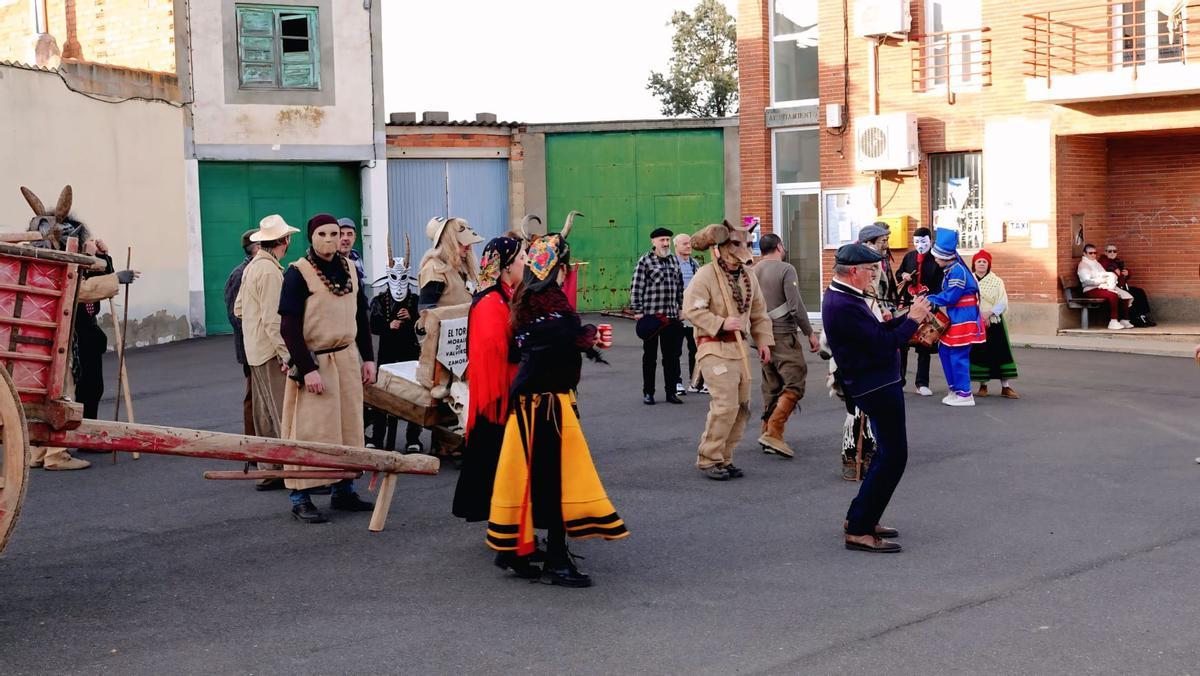 GALERÍA | El Toro de Carnaval de Morales de Valverde, en imágenes
