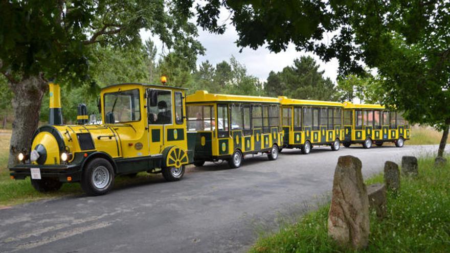 La Feira do Viño de O Ribeiro incorpora un tren para recorrer los viñedos de la comarca