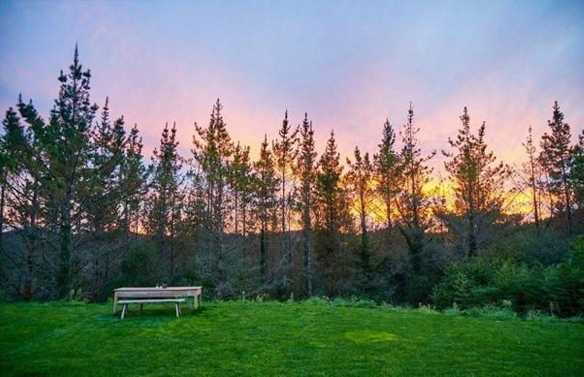 Entorno de La Revelía, en el bosque de Amorebieta-Etxano