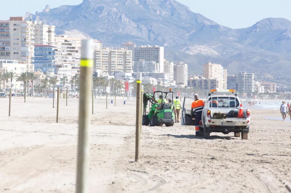 Alicante toma medidas en sus playas para pasar a la Fase 2.