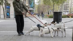 zentauroepp52919517 barcelona 25 03 2020   barcelona  unos perros se saludan en 200325131451