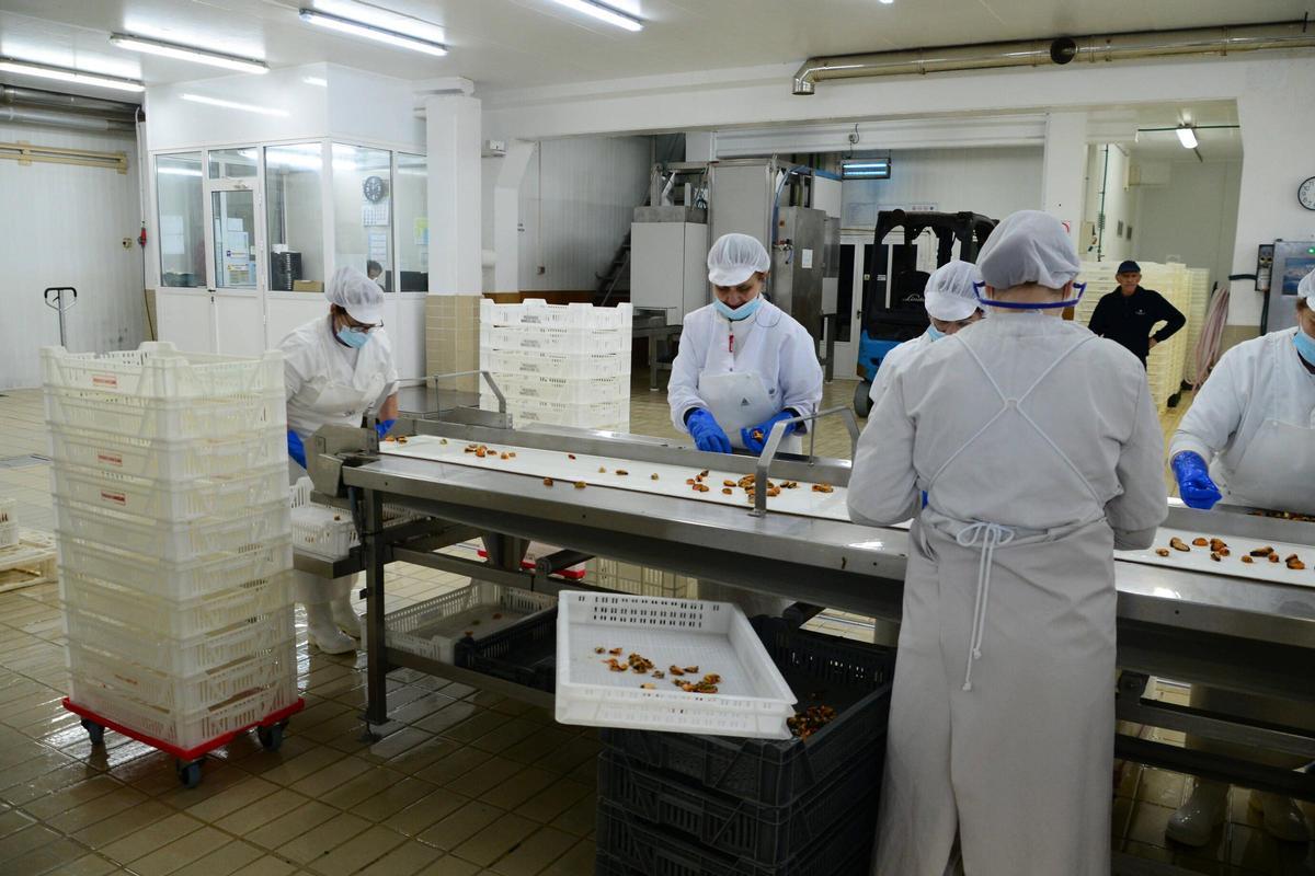 Visita a las instalaciones de Pescados Marcelino, una empresa con más de medio siglo de historia en el puerto de Aldán Visita a las instalaciones de Pescados Marcelino, una empresa con más de medio siglo de historia en el puerto de Aldán