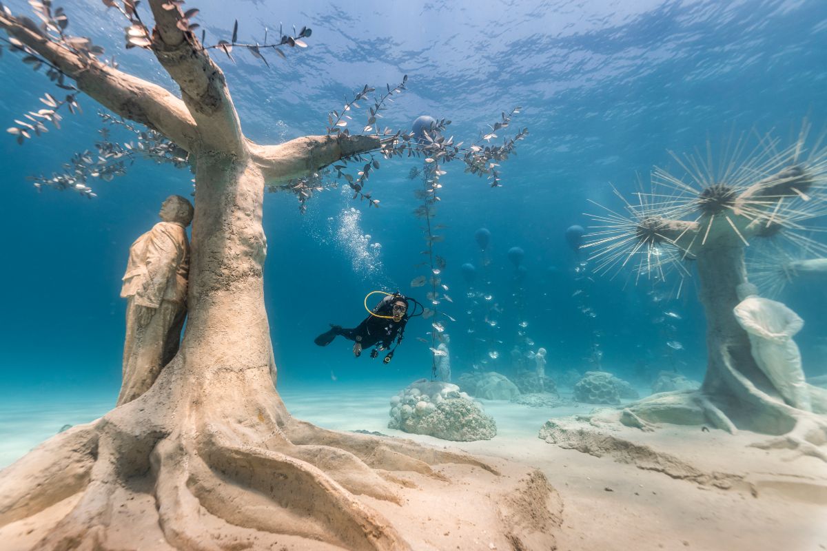 Puedes disfrutar del MUSAN practicando snorkel o submarinismo.