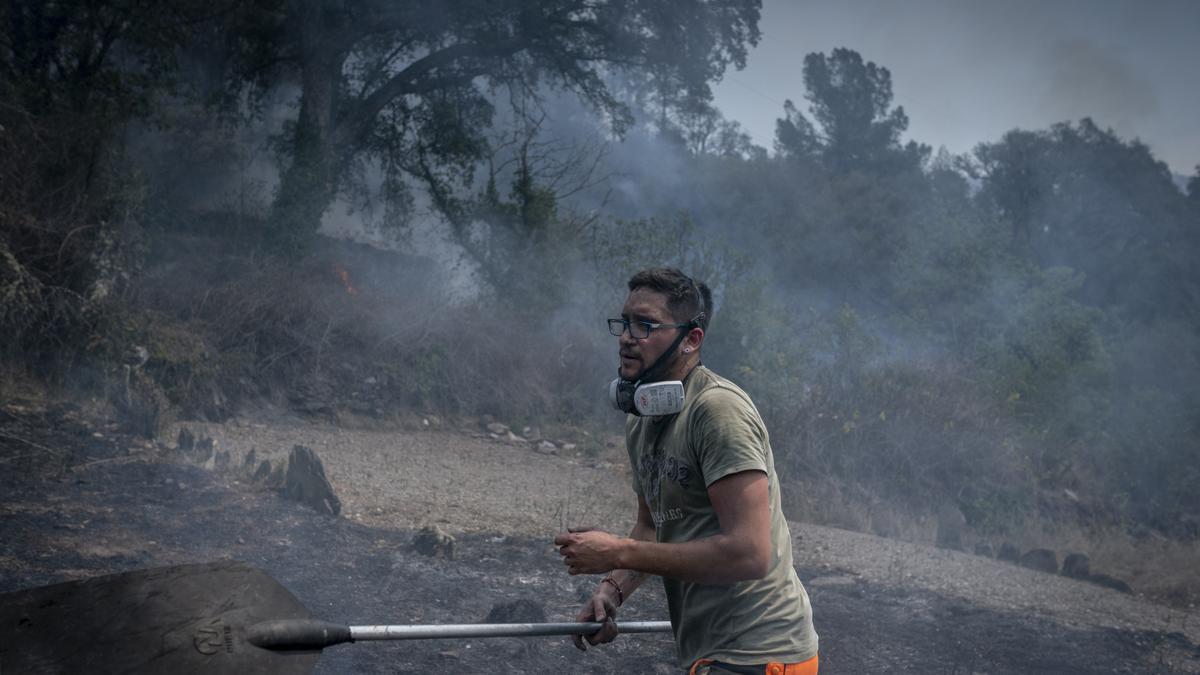 Jacobo camina hacia el fuego para intentar apalearlo y que no avance.