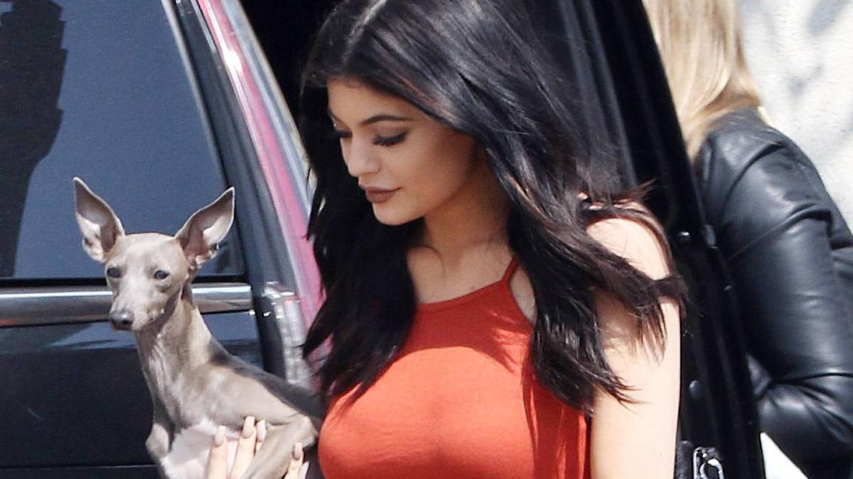 Kylie Jenner hace el contrato de tus sueños: paga a una niñera para sus siete perritos