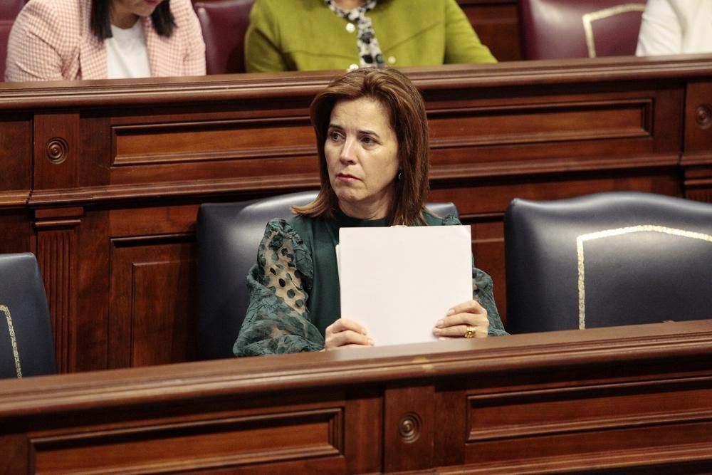 Pleno del Parlamento de Canarias 27-11-19