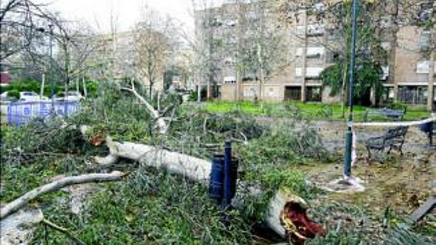 Los daños del temporal en el patrimonio municipal superan los 730.000 euros