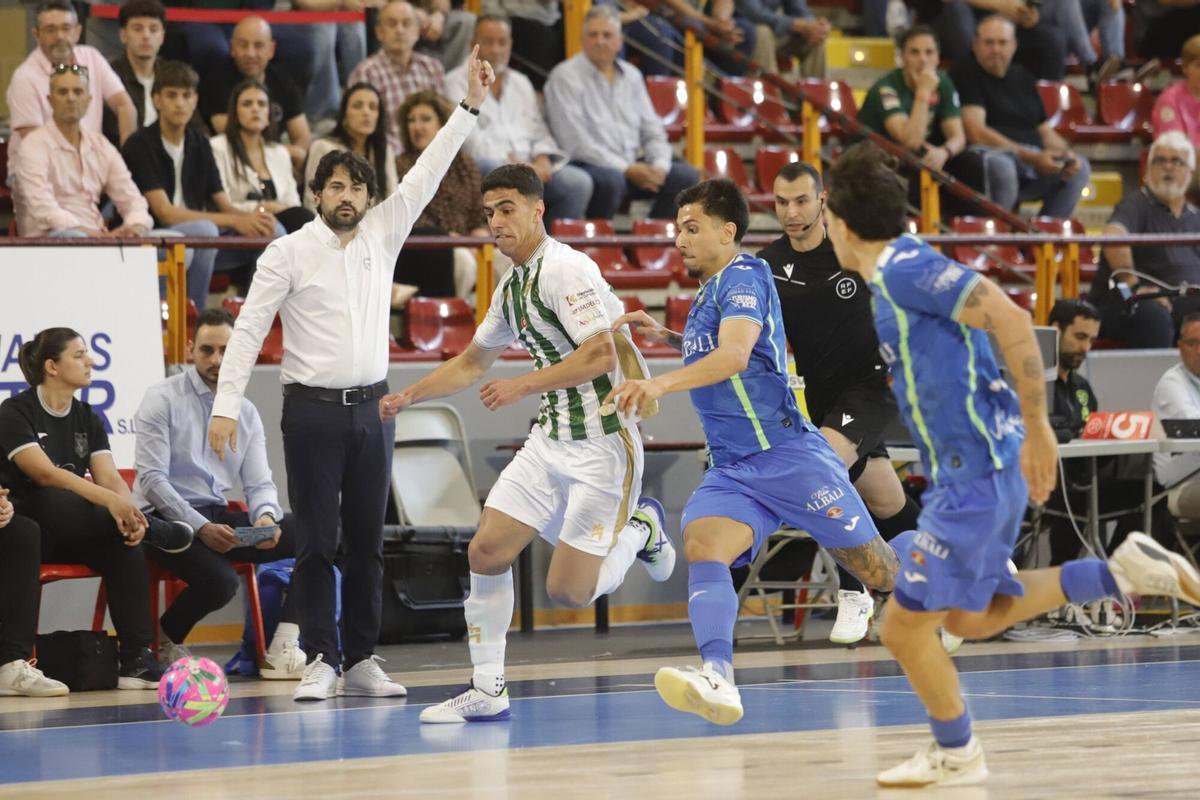 El Córdoba Futsal - Viña Albali Valdepeñas, en imágenes El Córdoba Futsal - Viña Albali Valdepeñas, en imágenes