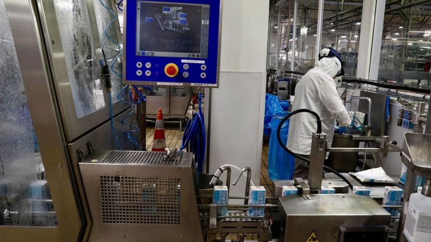 La fuerte apuesta de Nestlé por su fábrica en Sevares, que tendrá más empleados y producirá todo los días