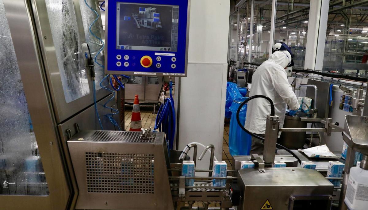 Una de las líneas de leche de la planta de Nestlé en Sevares. | MARA VILLAMUZA