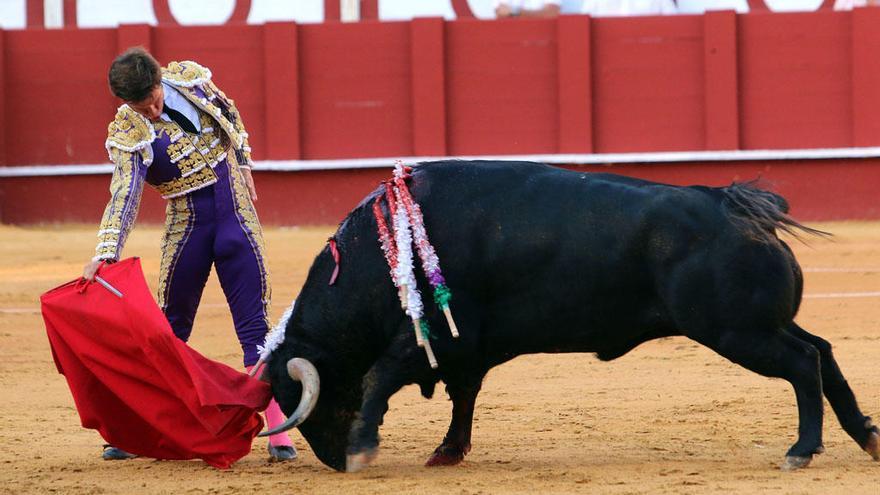 Fortes se anunciará con seis toros en la Feria de Málaga