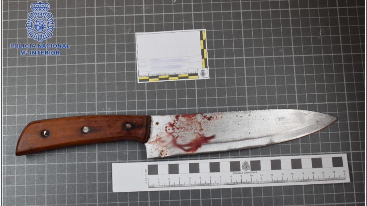 El cuchillo con el que el hombre apuñaló al compañero de piso