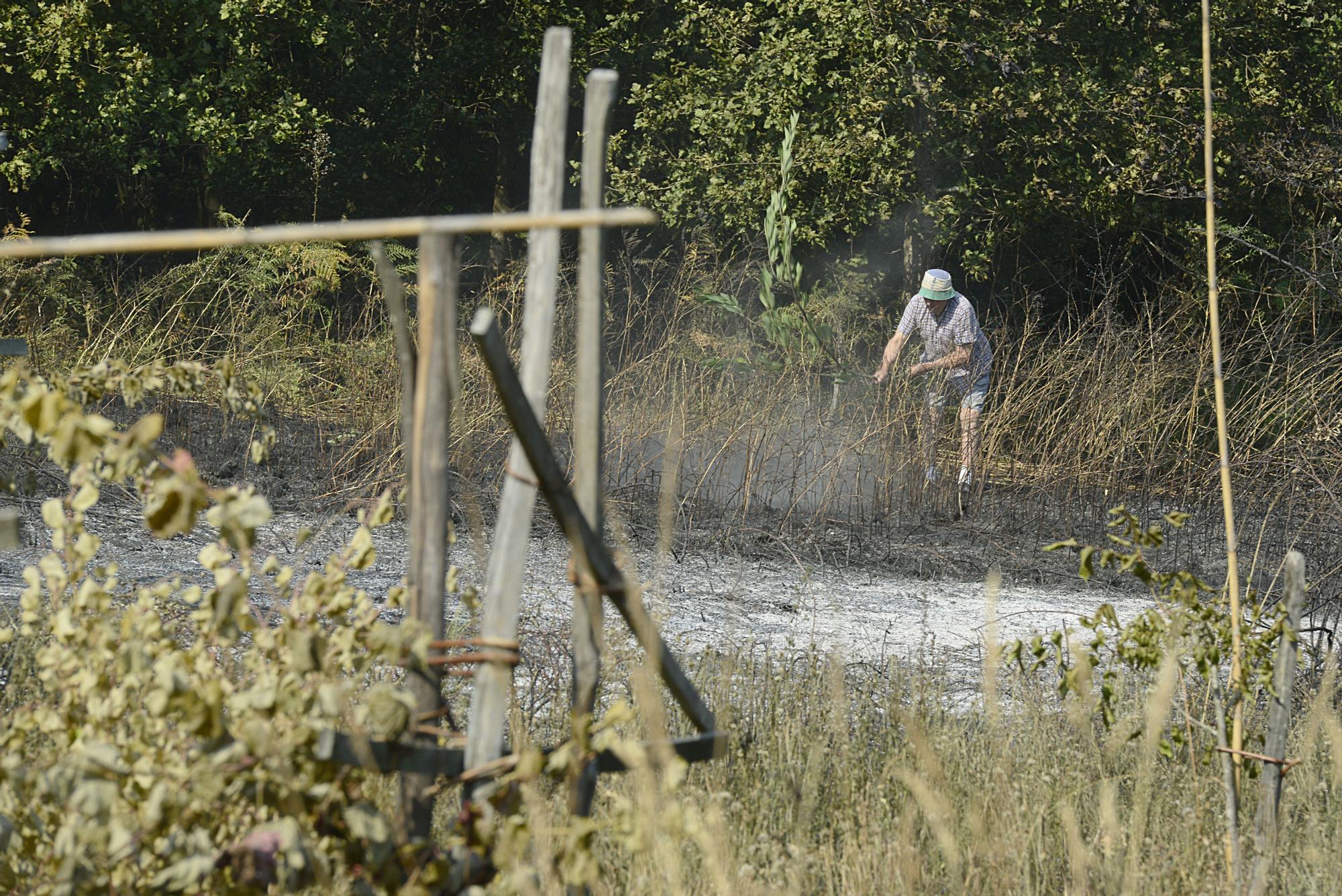 La ola de incendios en Galicia sigue sin control tras arrasar el fuego más de 31.500 hectáreas