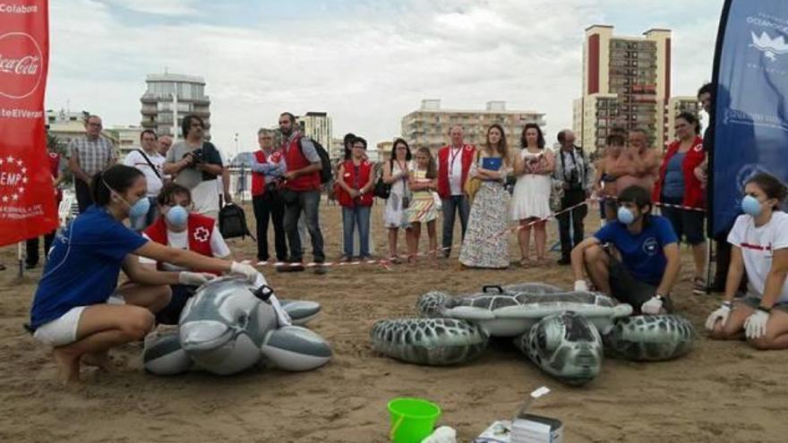 La campaña para aprender a afrontar los casos de varamientos de cetáceos llega a Xàbia y Guardamar