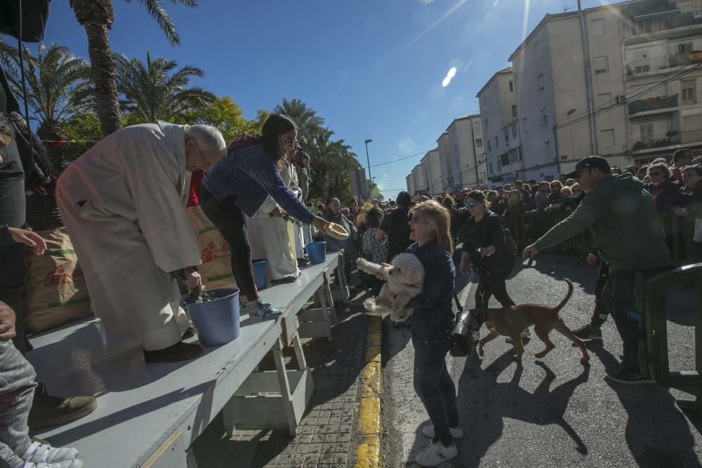 Celebración de San Antón en Elche