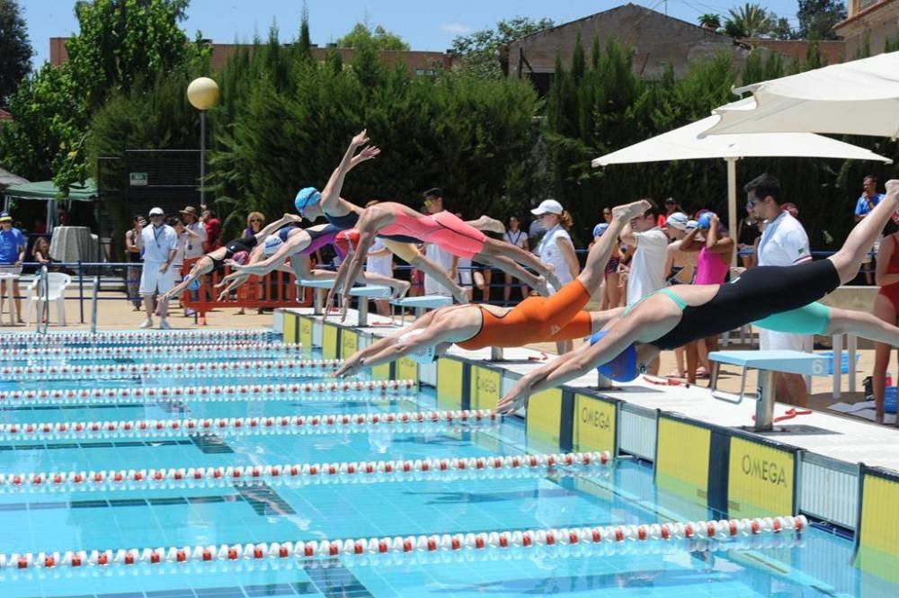 Trofeo Ciudad de Murcia