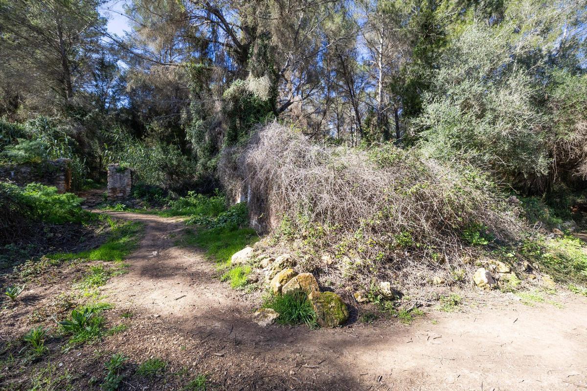 Imágenes de sa Fontassa y el río de Santa Eulària Imágenes de sa Fontassa y el río de Santa Eulària