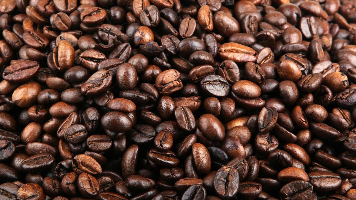 Cuáles son los beneficios de la cafeína: así afecta al organismo