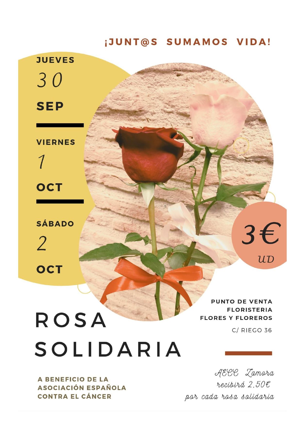 Campaña de rosas solidarias de la Asociación Española contra el Cáncer y la floristería Flores y Floreros.