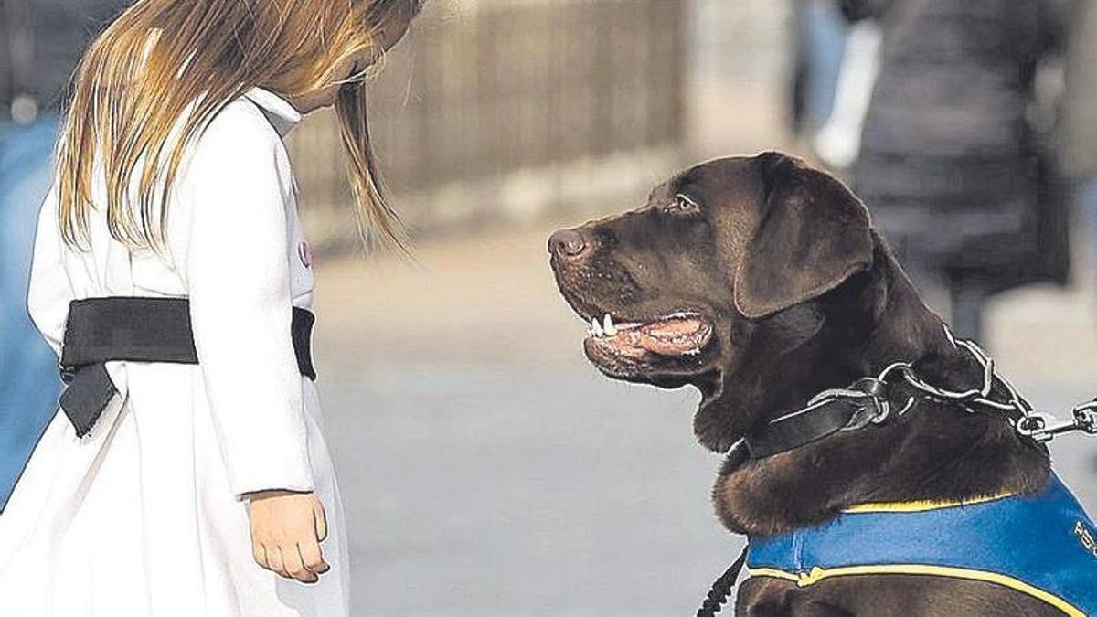 Una niña con autismo  y su perro.