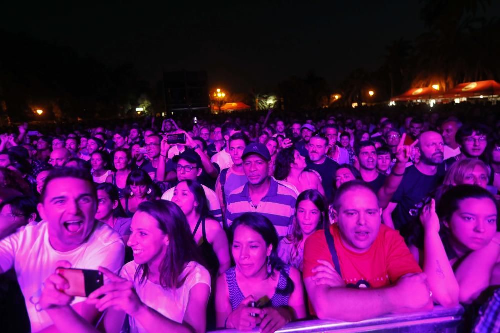 Concierto de Andrés Calamaro en Viveros