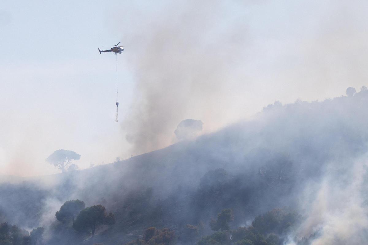 Incendio forestal en el Parque Natural de Collserola Incendio forestal en el Parque Natural de Collserola