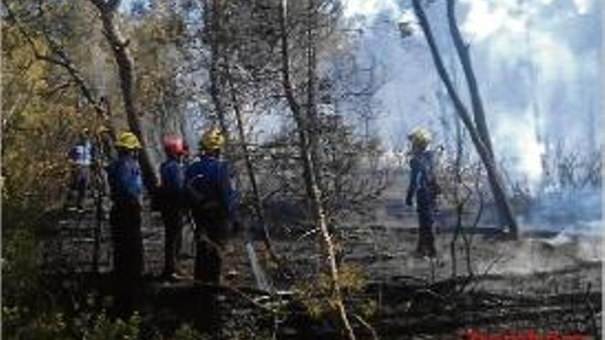 Efectius dels Bombers treballant durant les tasques d&#039;extinció.