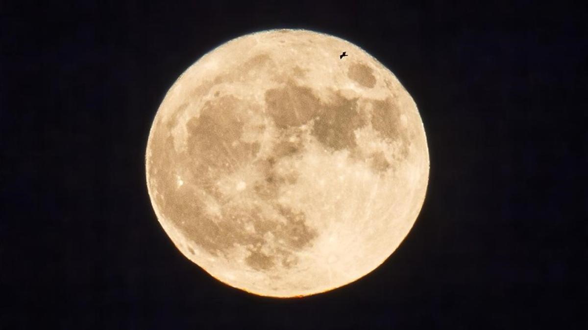 jgblanco36285733 barcelona 14 11 2016 barcelona luna llena superluna desde to170510083944