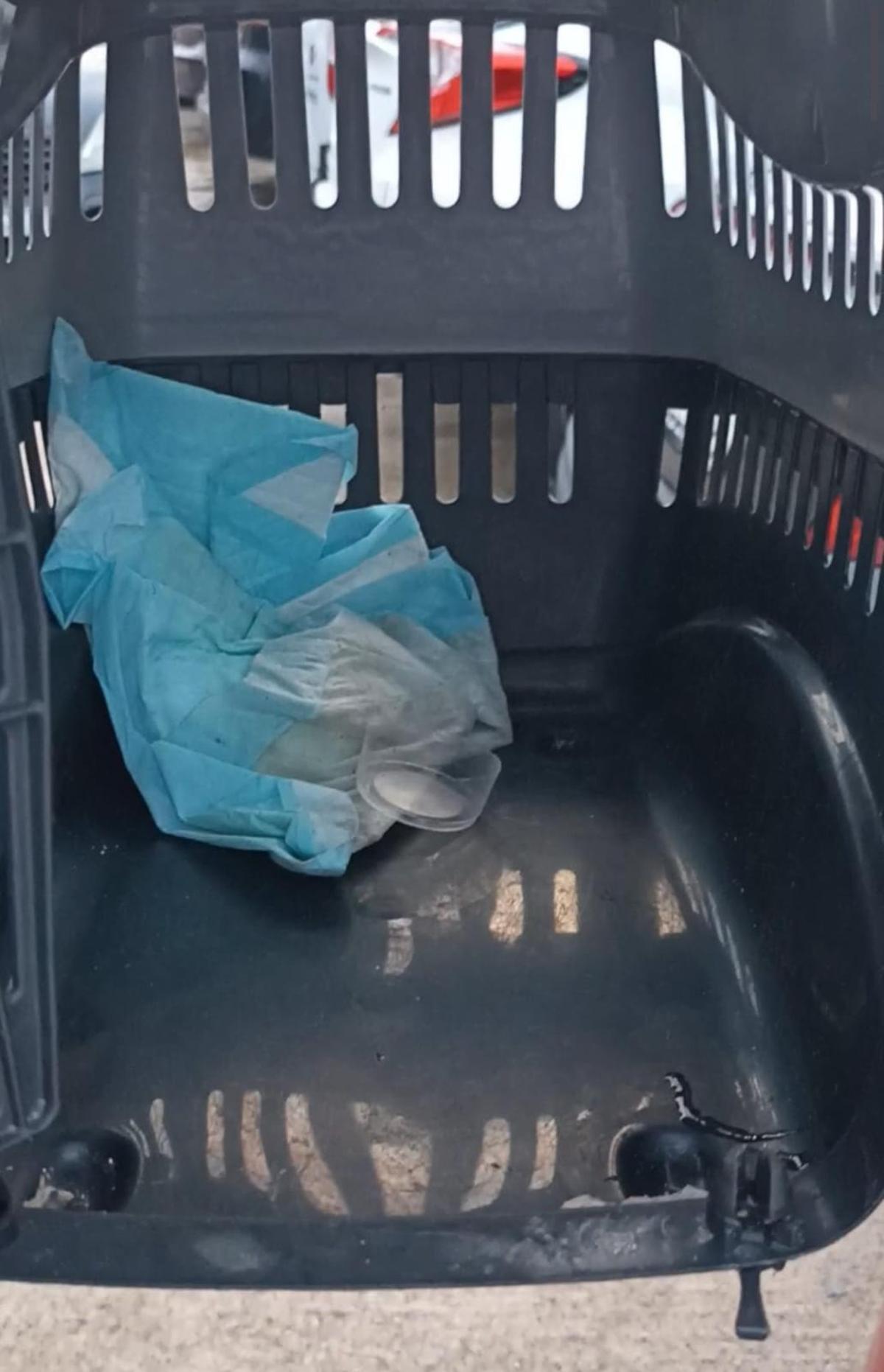 La gatita fue hallada encerrada en este transportín.