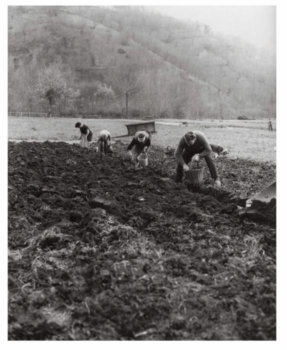 Imágenes de Begega del libro "Mis vecinos de El Condáu. 1962-1985".