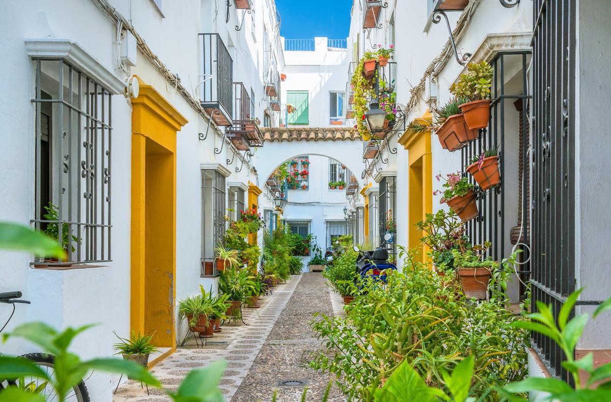 En la calle san Basilio se encuentran los más bellos y famosos patios cordobeses de toda la ciudad.