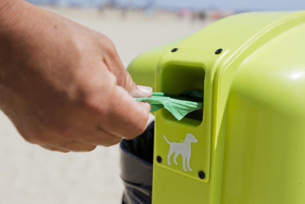 La playa para perros de Pinedo, a reventar