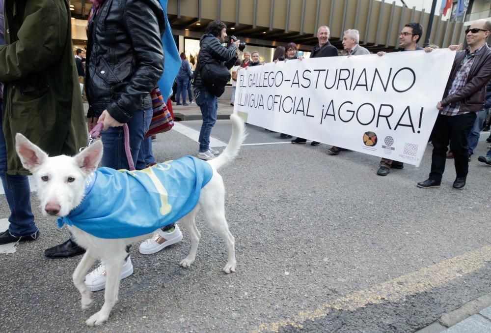 Manifestación por la Oficialidad en Oviedo