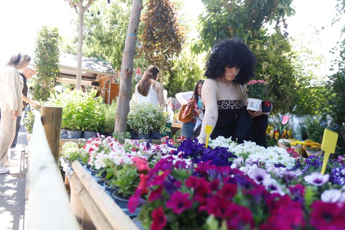 En imágenes | Presentación del Zaragoza Florece en el Parque Grande José Antonio Labordeta