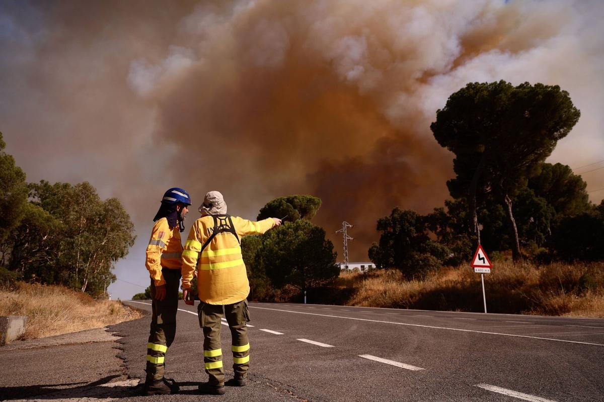 Bomberos forestales en el perimetro del incendio declarado esta tarde de viernes en Cerro Muriano.
