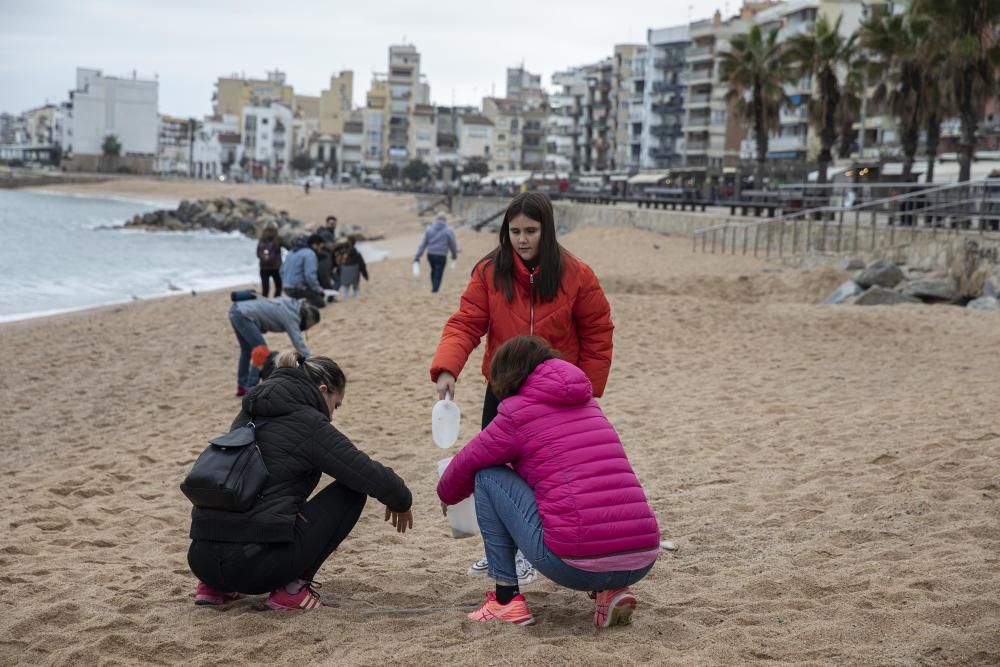 Jornada de mostreig i conscienciació contra els micro i mesoplàstics a Blanes