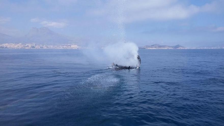 Tres rescatados tras arder su embarcación en Alicante