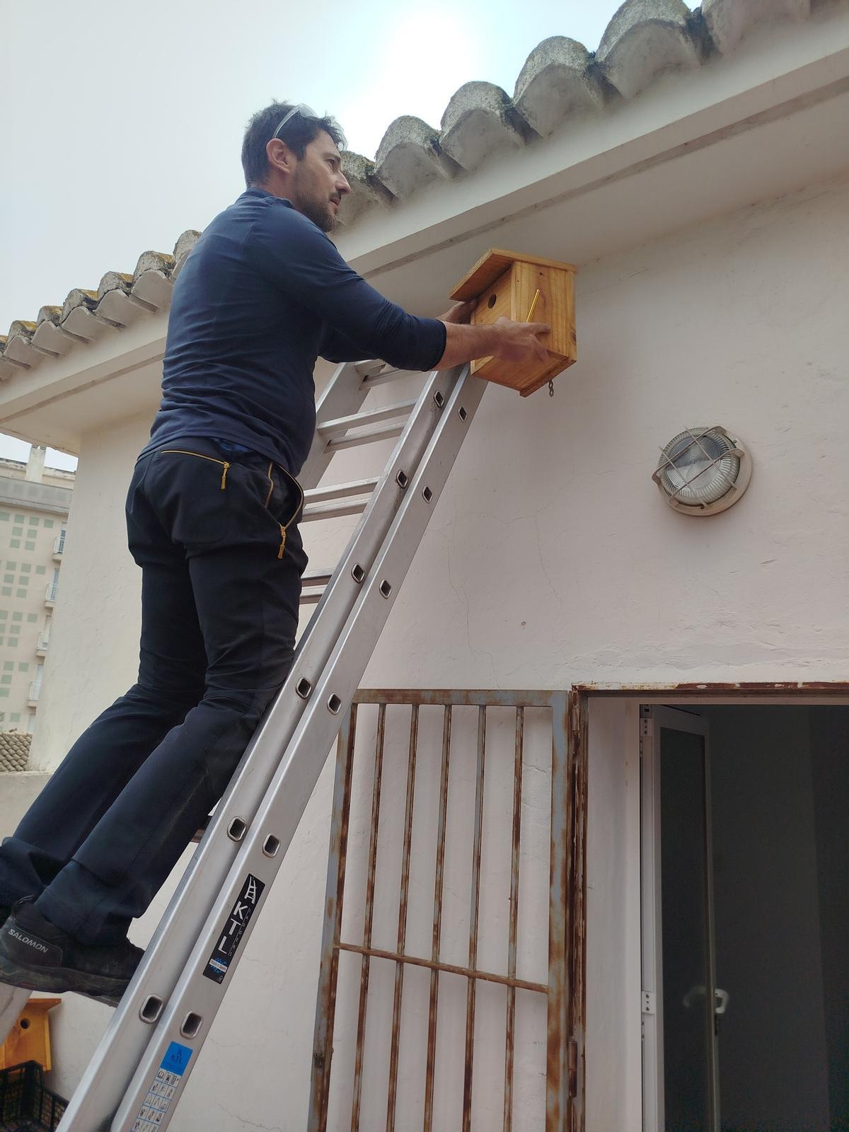 Una de las casetas instaladas en Oliva para refugiarse los murciélagos.