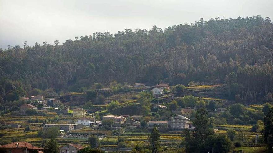 Vista general de As Pereiras y Gondes, con el monte quemado justo encima de las casas. // Noé Parga