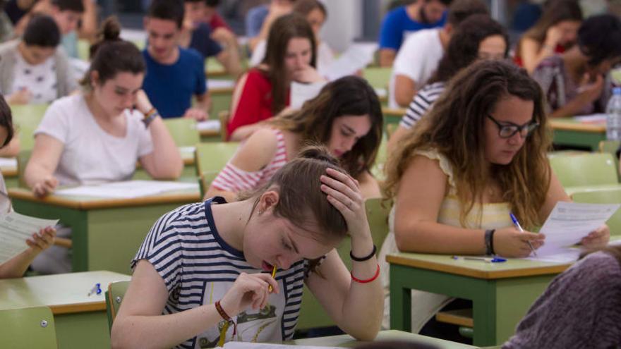 Calcula tu nota de admisión en las titulaciones de la UPV